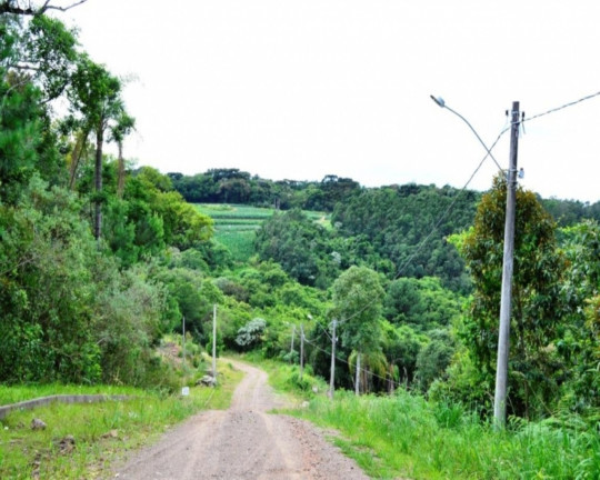 Imagem Imóvel à Venda, 900 m² em Vila Germânia - Nova Petrópolis Imagem Imóvel à Venda, 900 m² em Vila Germânia - Nova Petrópolis