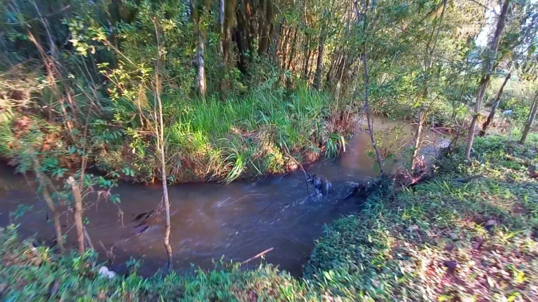 Imagem Imóvel à Venda, 32.800 m² em Ambrósio - Tijucas Do Sul Imagem Imóvel à Venda, 32.800 m² em Ambrósio - Tijucas Do Sul