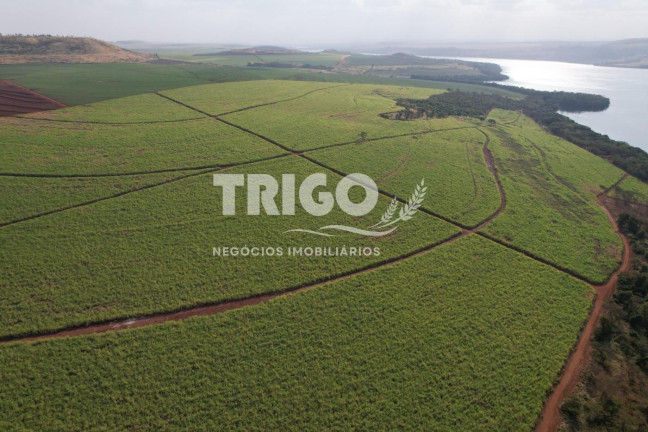 Imagem Fazenda à Venda, 56 m² em Zona Rural - Igarapava