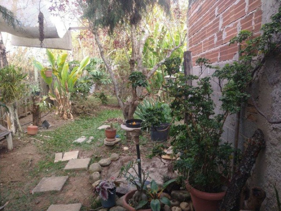Imagem Fazenda à Venda, 3.000 m² em Jardim Santa Luzia - Guaratinguetá