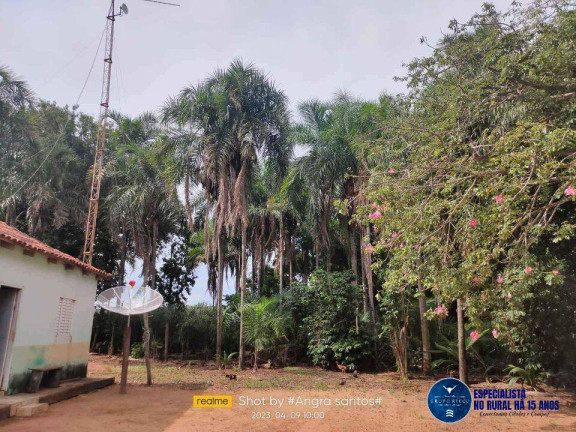 Imagem Fazenda à Venda, 72 m² em Zona Rural - Doverlândia Imagem Fazenda à Venda, 72 m² em Zona Rural - Doverlândia