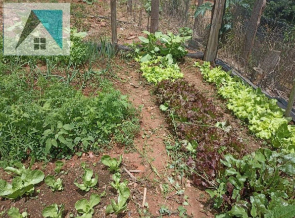 Imagem Chácara à Venda, 1.000 m² em Bairro Santo Expedito - Munhoz