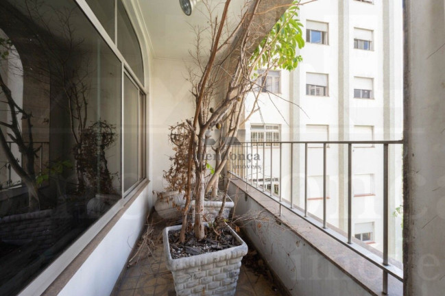 Imagem Apartamento com 3 Quartos à Venda, 220 m² em Higienópolis - São Paulo Imagem Apartamento com 3 Quartos à Venda, 220 m² em Higienópolis - São Paulo