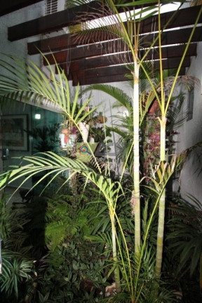 Imagem Casa com 4 Quartos à Venda, 261 m² em Parque Ortolândia - Hortolândia