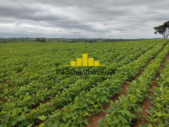 Imagem Chácara à Venda, 20 m² em Pilar Do Sul Imagem Chácara à Venda, 20 m² em Pilar Do Sul