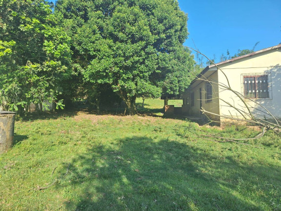 Imagem Chácara com 3 Quartos à Venda, 3.000 m² em Lombas - Viamão