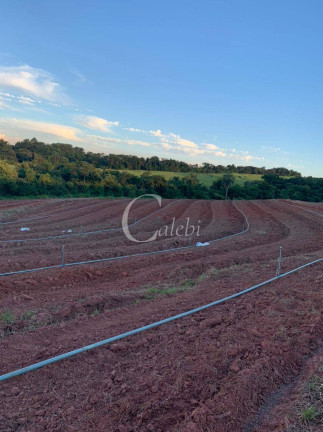Imagem Chácara com 3 Quartos à Venda, 27 m² em área Rural De Casa Branca - Casa Branca Imagem Chácara com 3 Quartos à Venda, 27 m² em área Rural De Casa Branca - Casa Branca