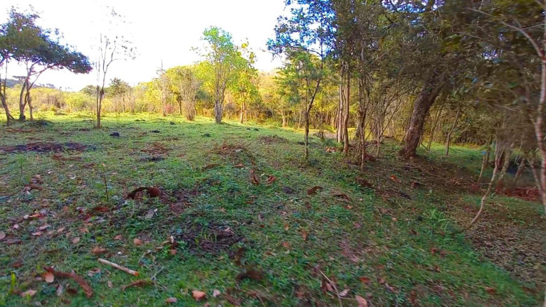 Imagem Imóvel à Venda, 32.800 m² em Ambrósio - Tijucas Do Sul Imagem Imóvel à Venda, 32.800 m² em Ambrósio - Tijucas Do Sul