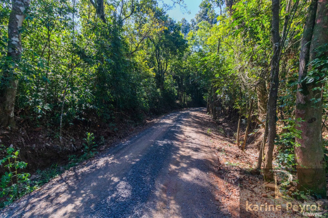 Imagem Terreno à Venda, 3.000 m² em Fazenda São Borja - São Leopoldo