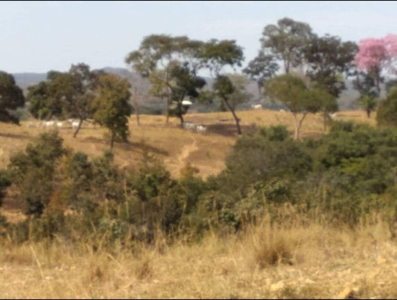 Imagem Fazenda à Venda, 411 m² em Nobres Imagem Fazenda à Venda, 411 m² em Nobres