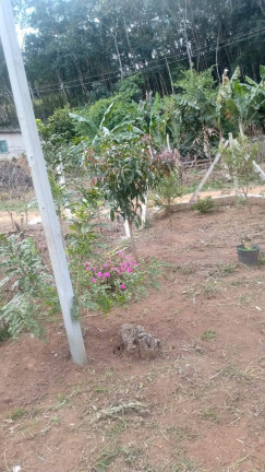 Imagem Chácara à Venda, 50 m² em Cuiabá - Nazaré Paulista Imagem Chácara à Venda, 50 m² em Cuiabá - Nazaré Paulista