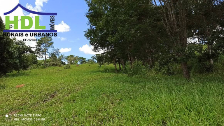 Imagem Fazenda à Venda, 21 m² em Zona Rural - Hidrolândia Imagem Fazenda à Venda, 21 m² em Zona Rural - Hidrolândia