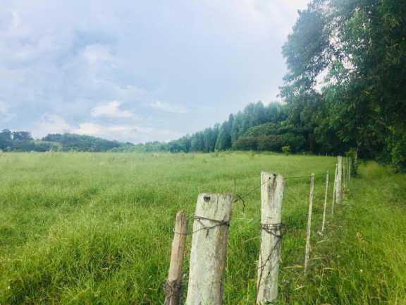 Imagem Chácara à Venda, 9 m² em Area Rural De Avaré - Avaré Imagem Chácara à Venda, 9 m² em Area Rural De Avaré - Avaré