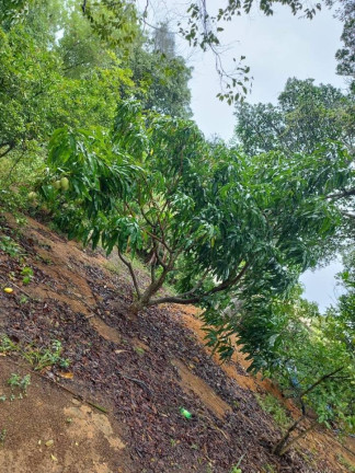 Imagem Chácara com 2 Quartos à Venda, 2.000 m² em Comunidade Urbana De Jaboticaba - Guarapari Imagem Chácara com 2 Quartos à Venda, 2.000 m² em Comunidade Urbana De Jaboticaba - Guarapari