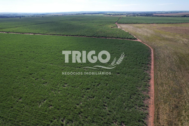 Imagem Fazenda à Venda, 115 m² em Zona Rural - Quirinópolis Imagem Fazenda à Venda, 115 m² em Zona Rural - Quirinópolis