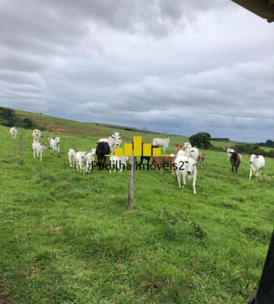 Imagem Fazenda à Venda, 87 m² em Sorocaba Imagem Fazenda à Venda, 87 m² em Sorocaba