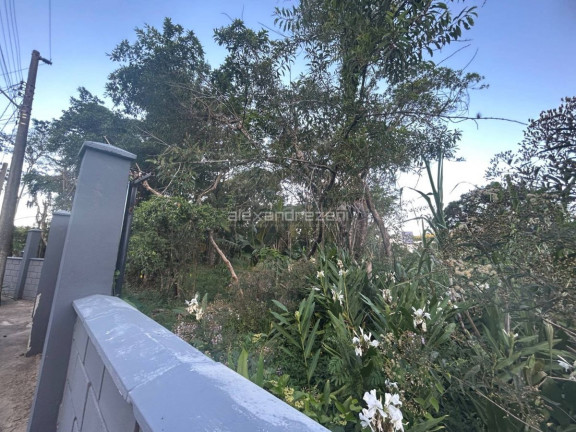 Imagem Terreno à Venda, 15.000 m² em Bombas - Bombinhas Imagem Terreno à Venda, 15.000 m² em Bombas - Bombinhas