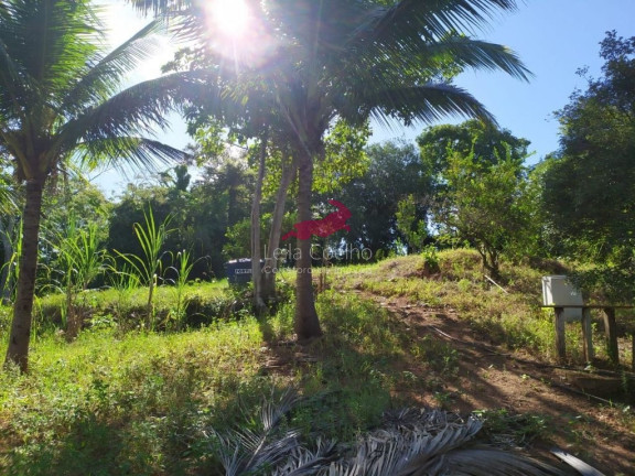 Imagem Chácara com 1 Quarto à Venda, 2.335 m² em São Caetano - Italva Imagem Chácara com 1 Quarto à Venda, 2.335 m² em São Caetano - Italva