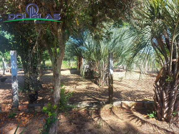 Imagem Chácara com 2 Quartos à Venda, 11.000 m² em Viamão
