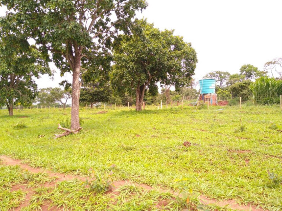 Imagem Fazenda à Venda, 23 m² em Centro - Santa Vitória Imagem Fazenda à Venda, 23 m² em Centro - Santa Vitória