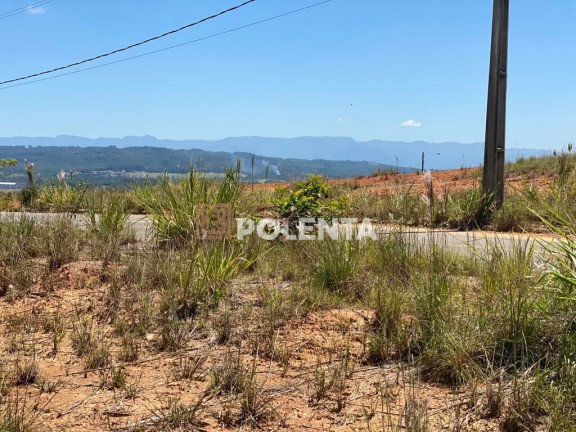 Imagem Terreno à Venda, 369 m² em Mina Do Mato - Criciúma