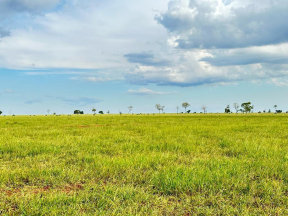 Imagem Fazenda à Venda, 5.793 m² em Rural - Nova Andradina