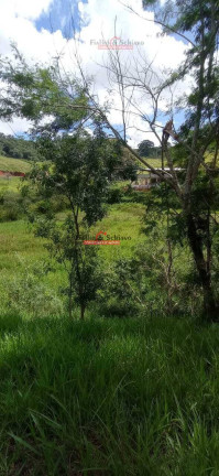 Imagem Chácara à Venda, 826 m² em Novo Silvestre - Viçosa Imagem Chácara à Venda, 826 m² em Novo Silvestre - Viçosa