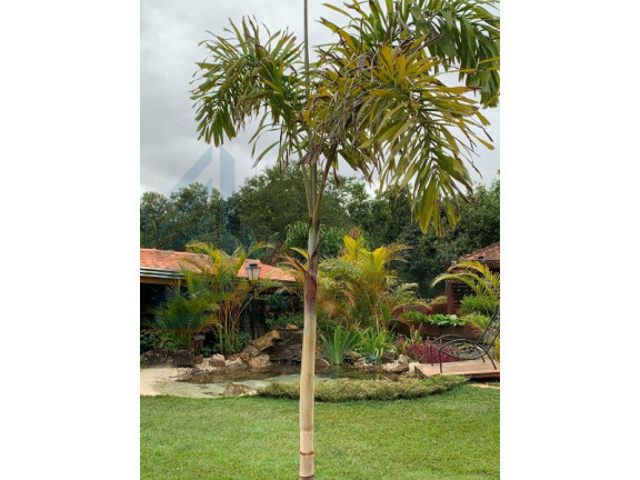 Imagem Imóvel com 3 Quartos à Venda, 360 m² em Canecos - Piracaia