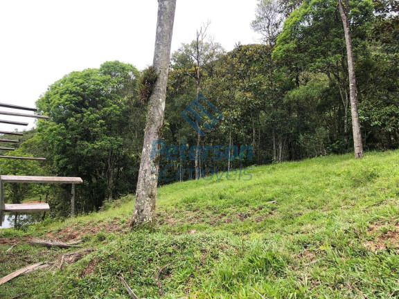 Imagem Chácara com 3 Quartos à Venda, 1.200.000 m² em Lageado Alto - Guabiruba Imagem Chácara com 3 Quartos à Venda, 1.200.000 m² em Lageado Alto - Guabiruba