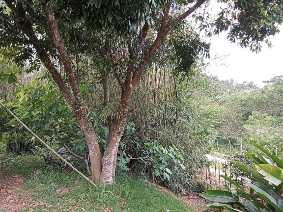 Imagem Casa à Venda, 36 m² em águas Claras - Viamão Imagem Casa à Venda, 36 m² em águas Claras - Viamão