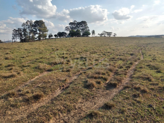 Imagem Imóvel à Venda, 242.000 m² em Santa Cruz Dos Matos - Itapetininga Imagem Imóvel à Venda, 242.000 m² em Santa Cruz Dos Matos - Itapetininga