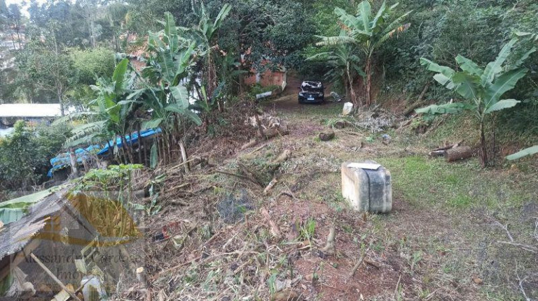 Imagem Terreno à Venda, 7.800 m² em Varginha - Nova Friburgo Imagem Terreno à Venda, 7.800 m² em Varginha - Nova Friburgo