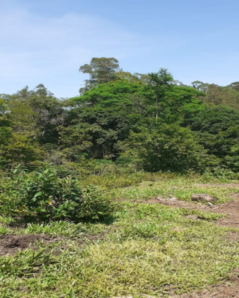 Imagem Imóvel com 1 Quarto à Venda, em Vila Rica - Presidente Lucena Imagem Imóvel com 1 Quarto à Venda, em Vila Rica - Presidente Lucena