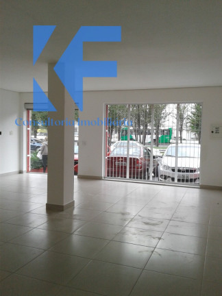 Imagem Imóvel com 3 Quartos à Venda, 300 m² em Vila Itapura - Campinas Imagem Imóvel com 3 Quartos à Venda, 300 m² em Vila Itapura - Campinas