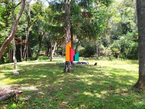 Imagem Imóvel com 5 Quartos à Venda, 23.702 m² em Pau Arcado - Campo Limpo Paulista Imagem Imóvel com 5 Quartos à Venda, 23.702 m² em Pau Arcado - Campo Limpo Paulista