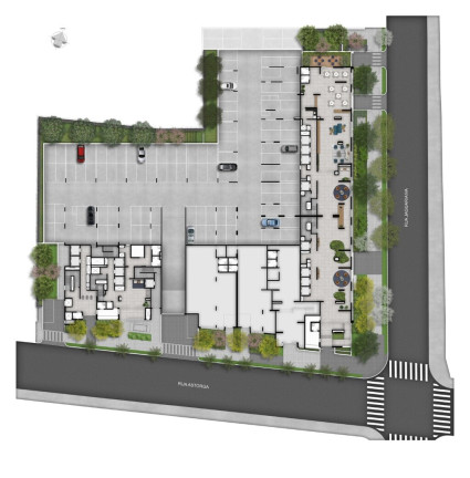Imagem Apartamento com 2 Quartos à Venda, 71 m² em Vila Guilhermina - São Paulo Imagem Apartamento com 2 Quartos à Venda, 71 m² em Vila Guilhermina - São Paulo