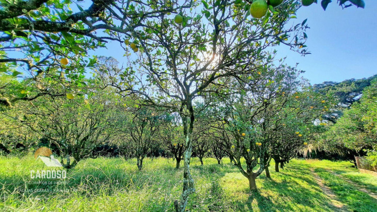 Imagem Fazenda à Venda, 100.000 m² em águas Claras - Viamão Imagem Fazenda à Venda, 100.000 m² em águas Claras - Viamão