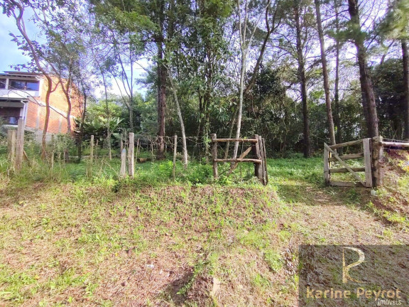 Terreno à Venda, 250 m² em Campestre - São Leopoldo