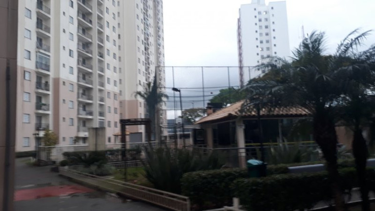 Imagem Apartamento com 2 Quartos à Venda, 54 m² em Jardim Augusta - São José Dos Campos Imagem Apartamento com 2 Quartos à Venda, 54 m² em Jardim Augusta - São José Dos Campos