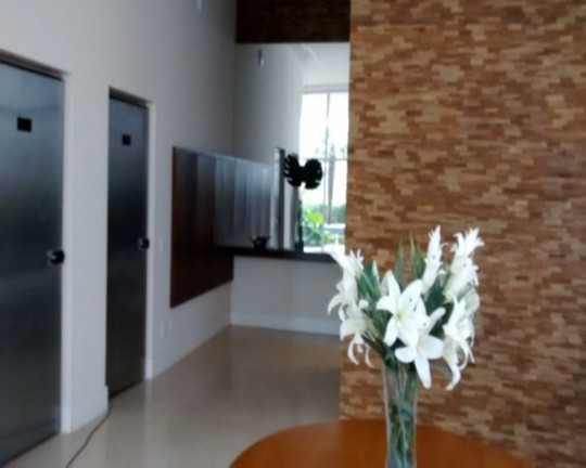 Imagem Apartamento com 2 Quartos à Venda, 71 m² em Vila Mariana - São Paulo Imagem Apartamento com 2 Quartos à Venda, 71 m² em Vila Mariana - São Paulo