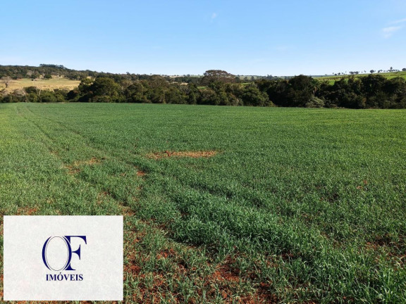 Imagem Fazenda à Venda, 91 m² em Rural - Avaré