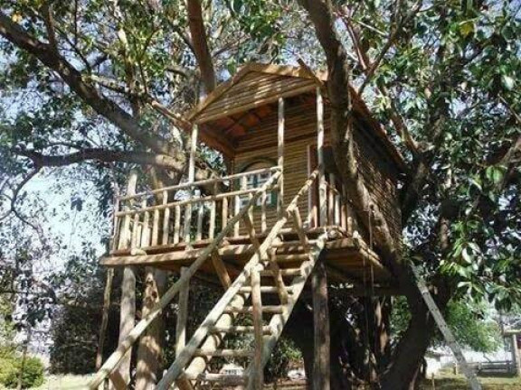 Imagem Chácara com 4 Quartos à Venda, 2.000 m² em Alambari