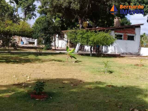 Imagem Chácara com 4 Quartos à Venda, 350 m² em Pedro De Souza - Cascavel Imagem Chácara com 4 Quartos à Venda, 350 m² em Pedro De Souza - Cascavel