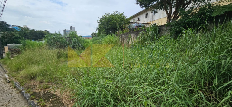 Imagem Imóvel à Venda, 434 m² em água Verde - Blumenau Imagem Imóvel à Venda, 434 m² em água Verde - Blumenau