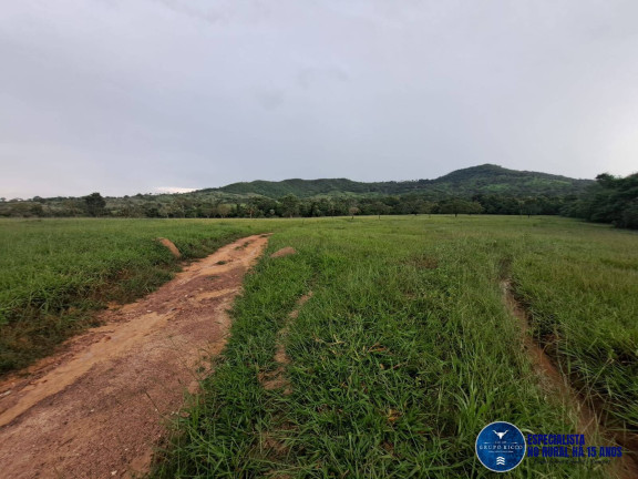 Imagem Chácara à Venda, 10 m² em Zona Rural - Itapuranga Imagem Chácara à Venda, 10 m² em Zona Rural - Itapuranga
