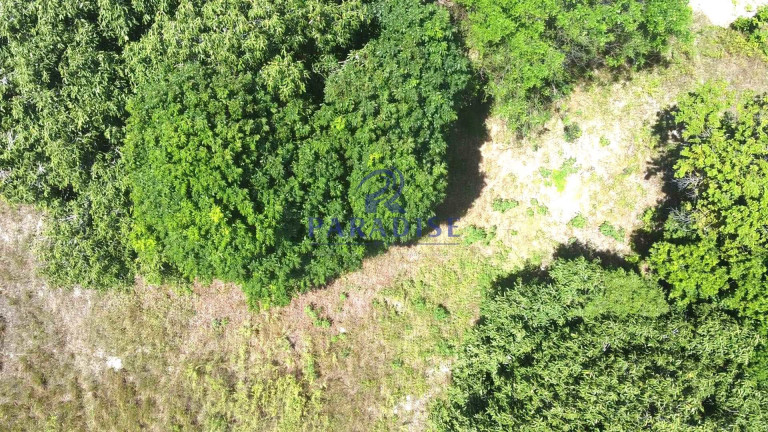 Imagem Terreno à Venda, 1.800 m² em Itacimirim - Camaçari Imagem Terreno à Venda, 1.800 m² em Itacimirim - Camaçari