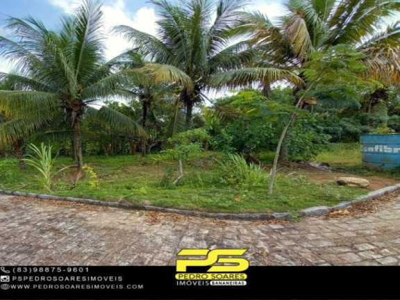 Imagem Imóvel com 1 Quarto à Venda, 20.000 m² em Bananeiras - Bananeiras Imagem Imóvel com 1 Quarto à Venda, 20.000 m² em Bananeiras - Bananeiras