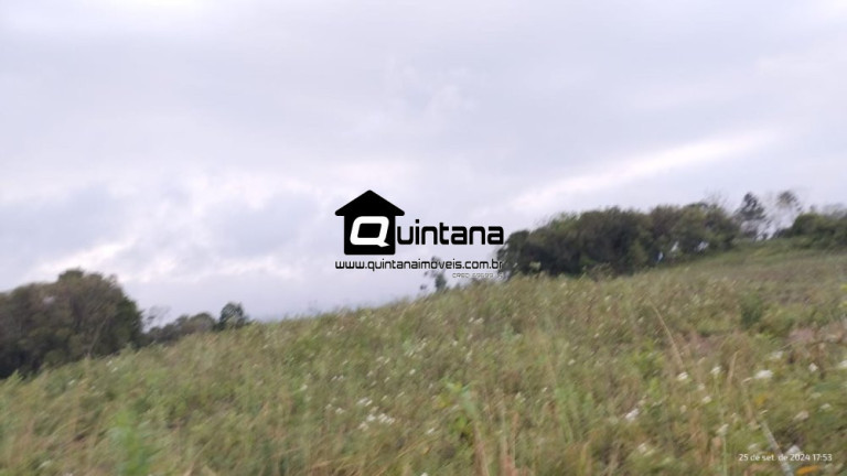 Imagem Imóvel com 2 Quartos à Venda, 370.000 m² em Centro - Mariana Pimentel Imagem Imóvel com 2 Quartos à Venda, 370.000 m² em Centro - Mariana Pimentel