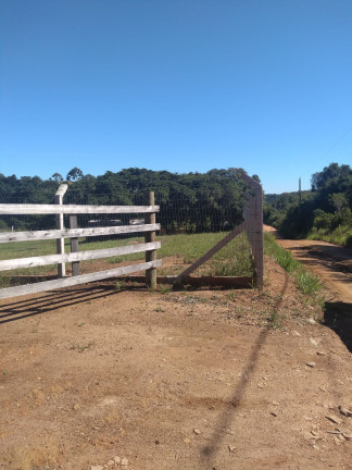 Imagem Imóvel com 2 Quartos à Venda, 28.600 m² em Passo Da Areia - Viamão Imagem Imóvel com 2 Quartos à Venda, 28.600 m² em Passo Da Areia - Viamão
