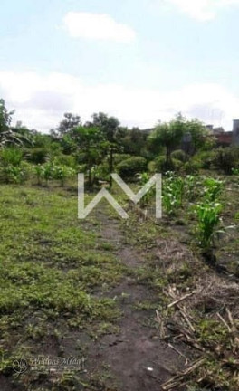 Imagem Terreno à Venda, 6.000 m² em Jardim Presidente Dutra - Guarulhos Imagem Terreno à Venda, 6.000 m² em Jardim Presidente Dutra - Guarulhos